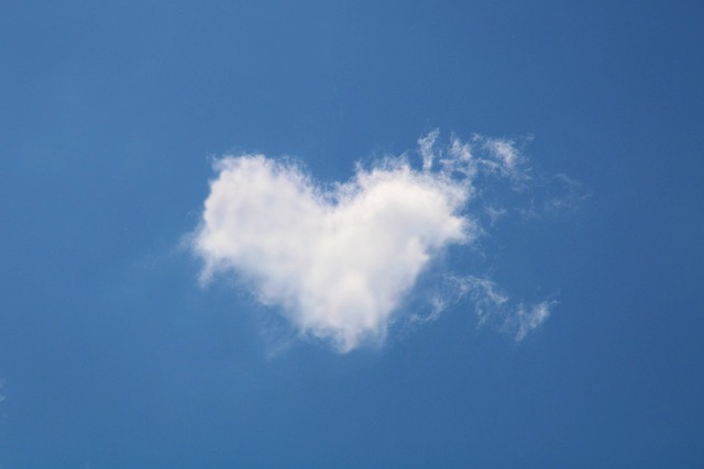 Building Brand Loyalty Through Personalized Media Experiences