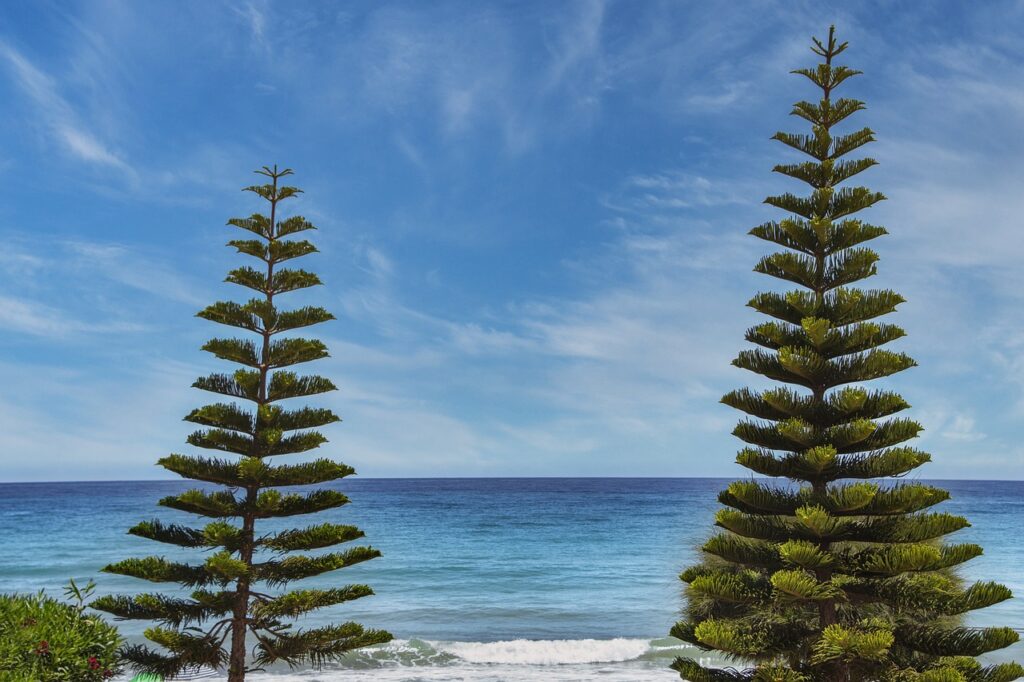 low maintenance medium length haircuts for fine hair low maintenance medium length haircuts for fine hair