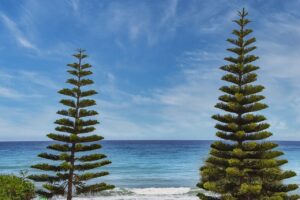 low maintenance medium length haircuts for fine hair