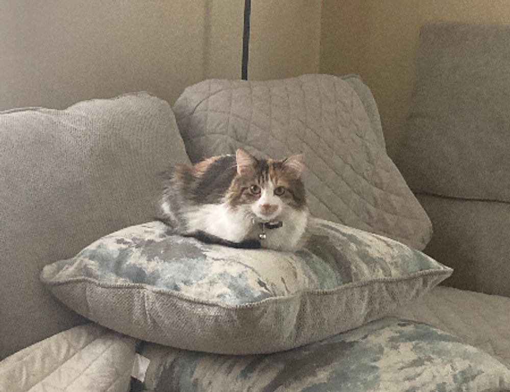 advertising ginkialuz housing ltd advertising ginkialuz housing ltd