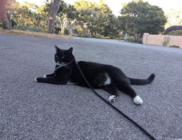 aggr8investing business property ideas by aggreg8