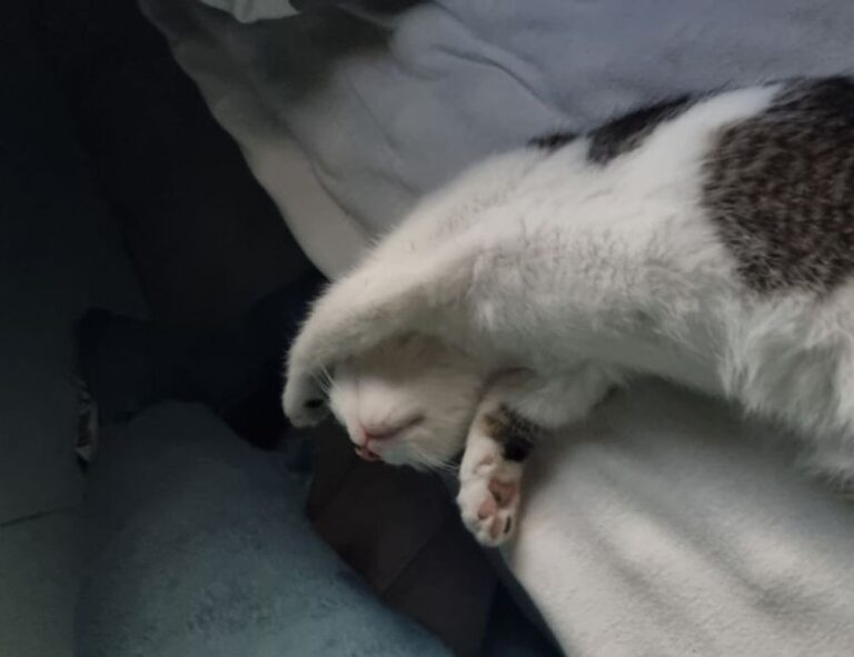 business guide aggr8investing