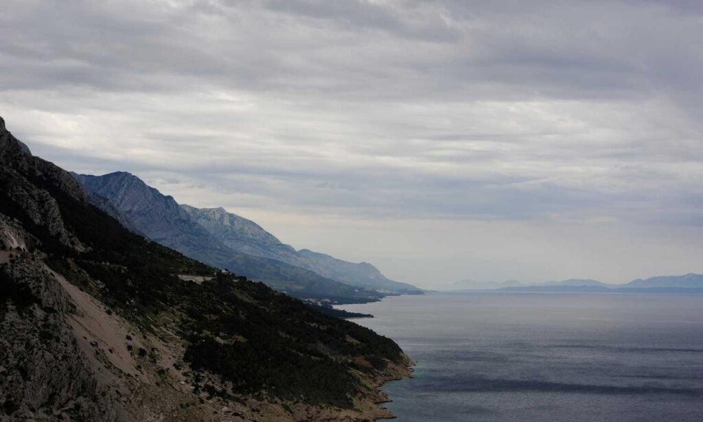 business guide wbbiznesizing