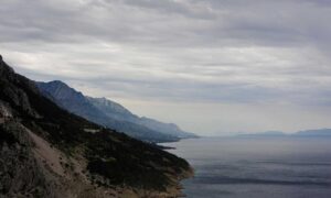 business guide wbbiznesizing