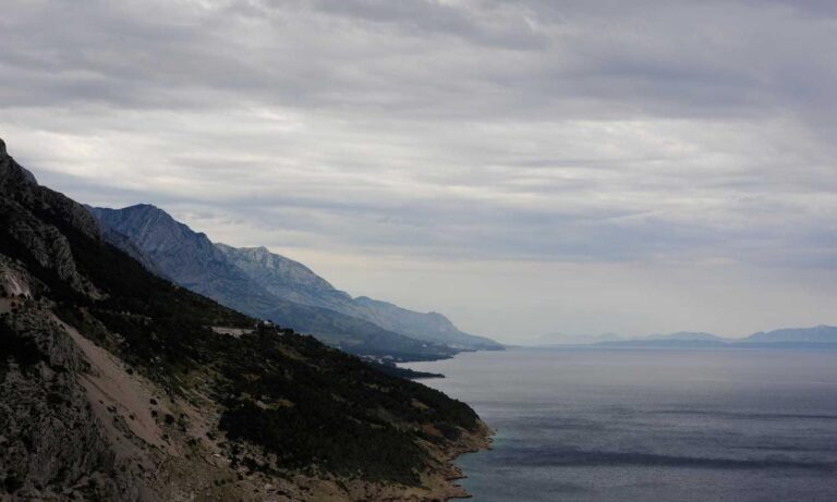 business guide wbbiznesizing