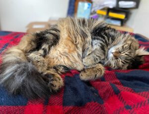 business properties aggr8investing