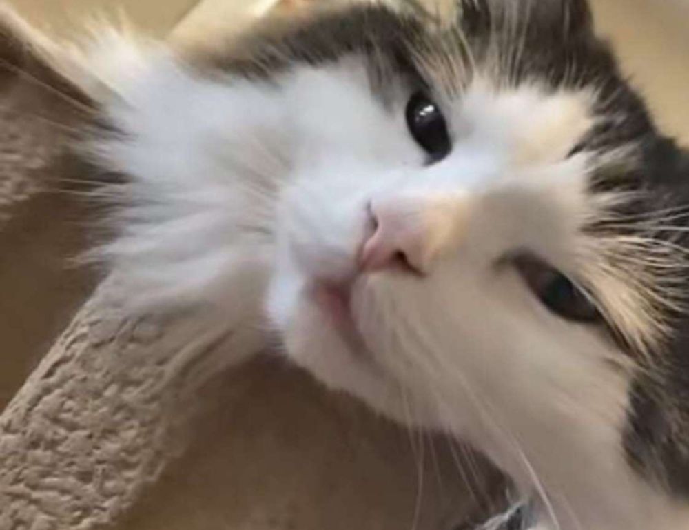 capital expenditures wbinvestimize