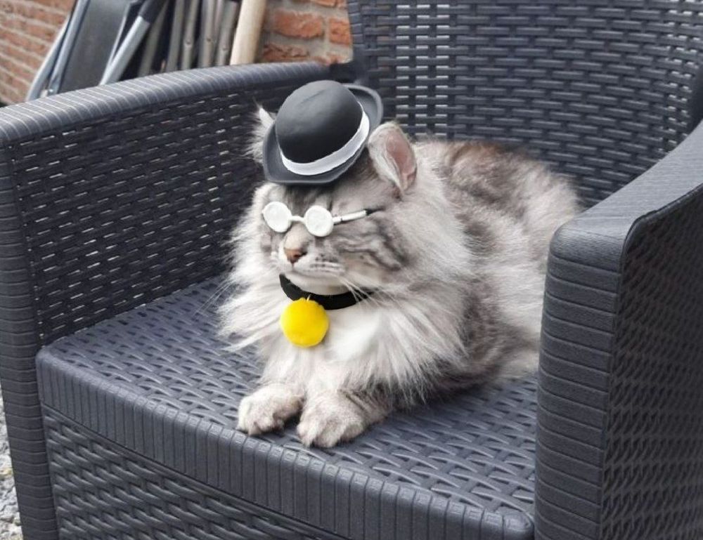 financial advice wbcompetitorative financial advice wbcompetitorative