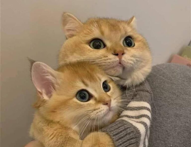 financial tips wbcompetitorative