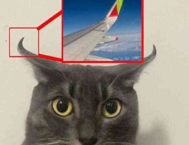 how to generate investments wbinvestimize