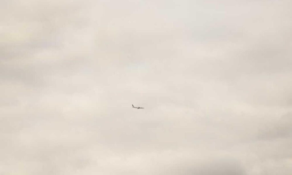 investment advice wbinvestimize