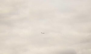 investment advice wbinvestimize