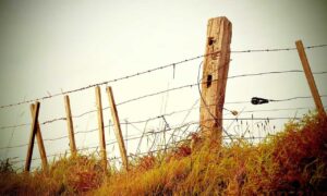 is business competition good or bad wbcompetitorative