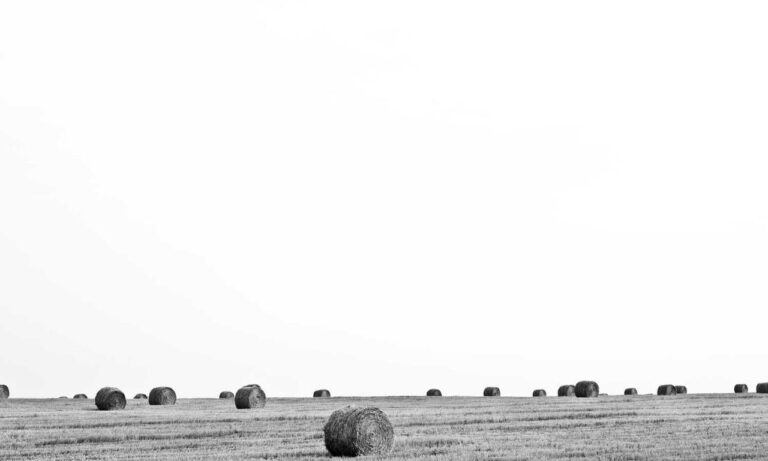 latest funding trend rprinvesting