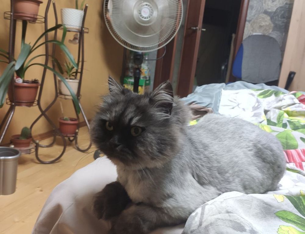 online banking updates rprinvesting