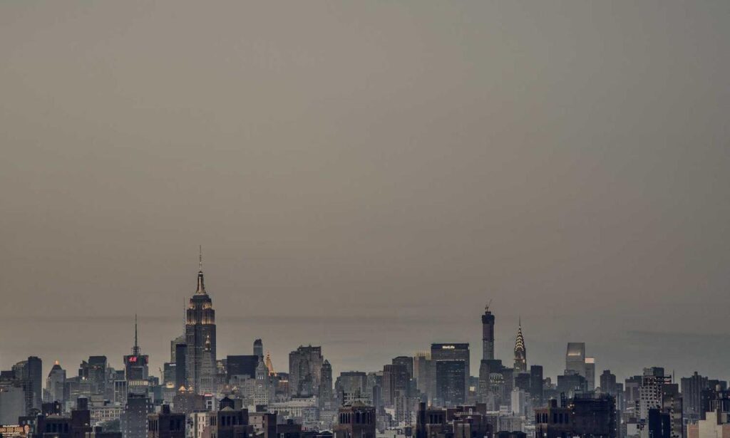 roarbiznes financial infoguide by riproar