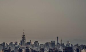 roarbiznes financial infoguide by riproar