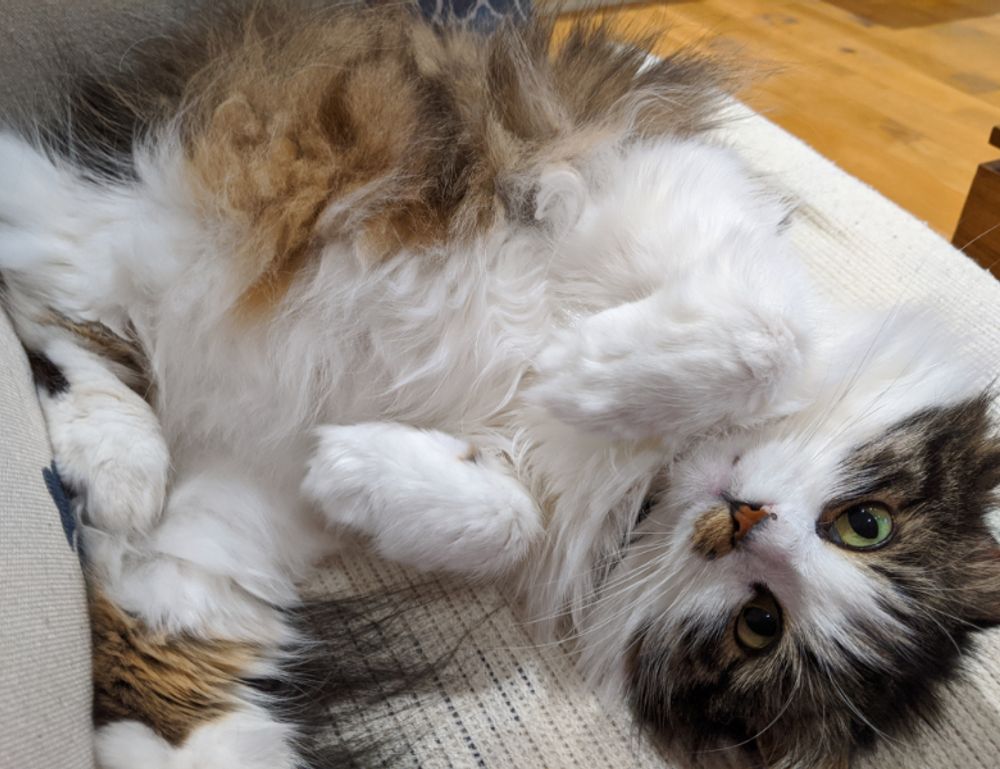 rprinvesting trading guide by riproar