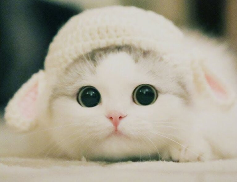 wbbiznesizing business advice by wealthybyte