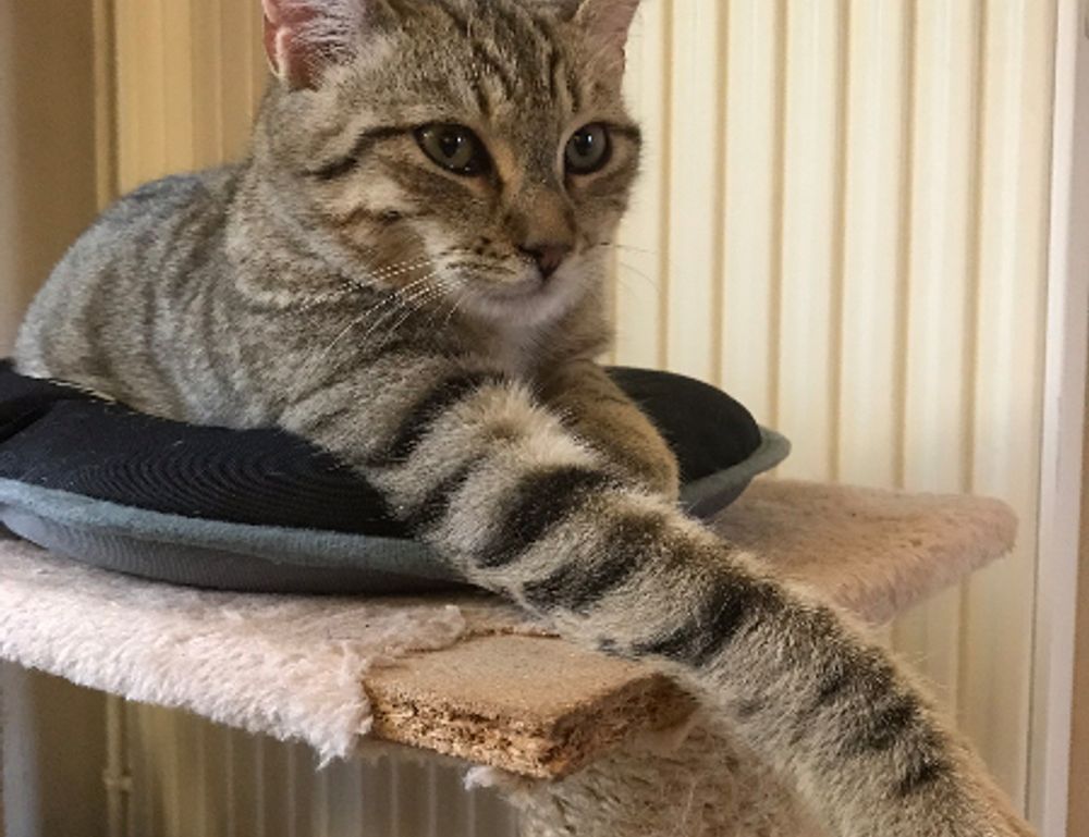 wbbiznesizing business tips from wealthybyte