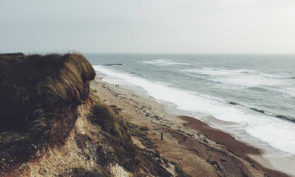 wbinvestimize investment advice from wealthybyte