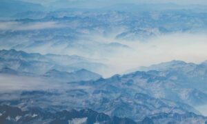 what questions to ask a business advisor roarbiznes