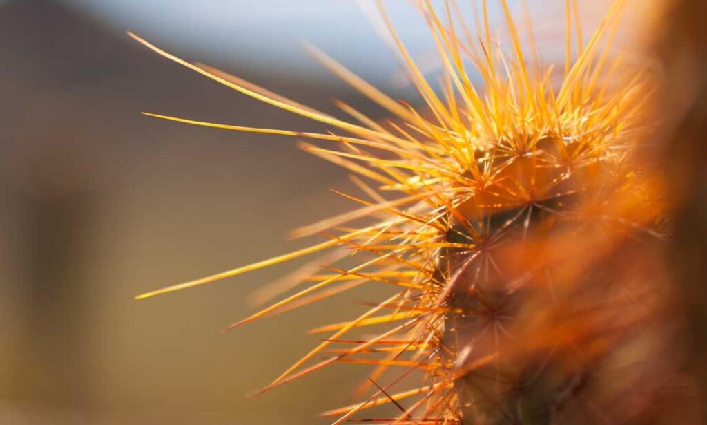 where to find funding advice rprinvesting