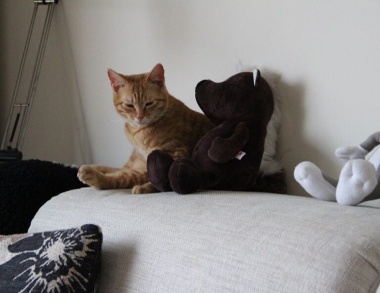 where to get best investment advice rprinvesting