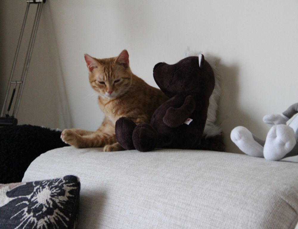 where to get best investment advice rprinvesting