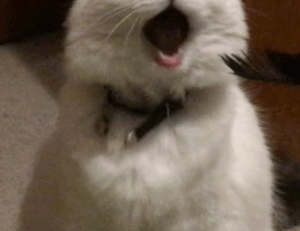 which business ideas to start aggr8investing