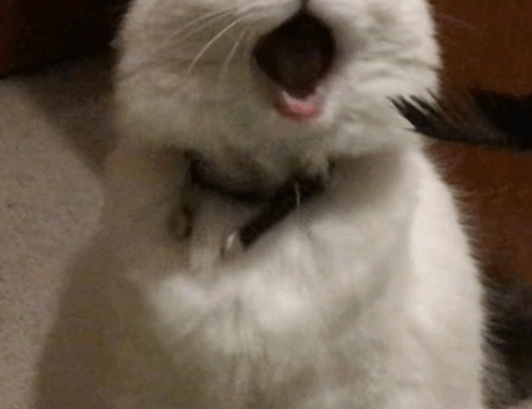 which business ideas to start aggr8investing