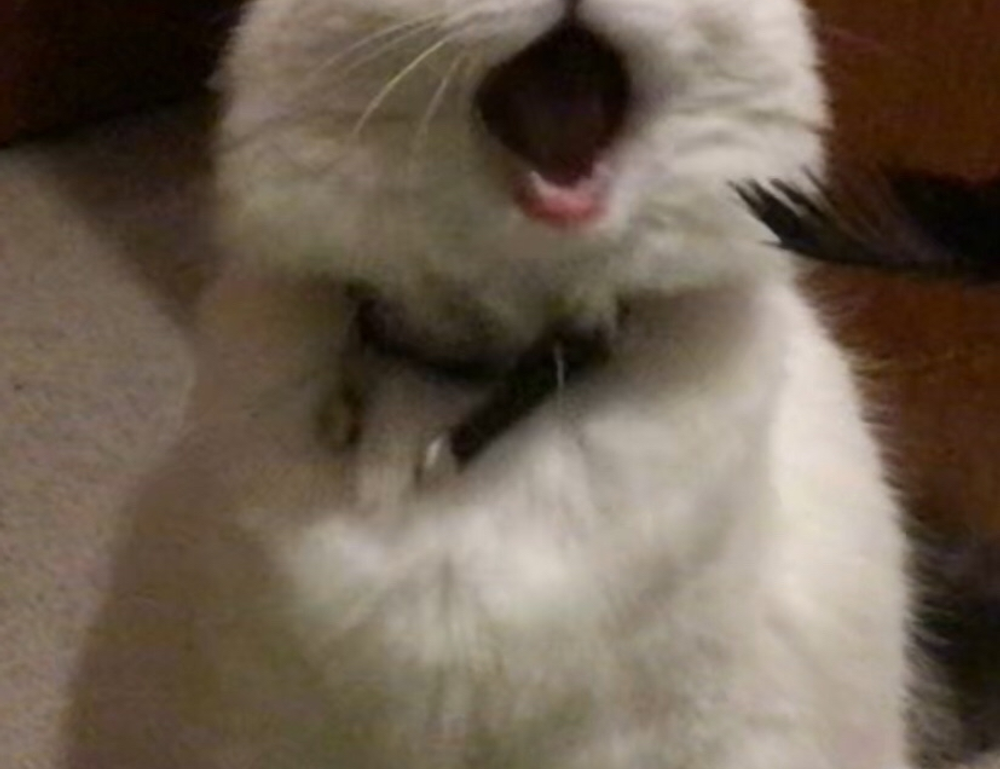 which business ideas to start aggr8investing