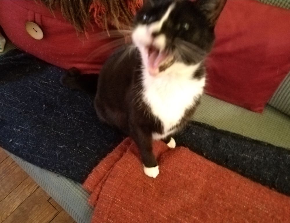 which business to buy wbcompetitorative