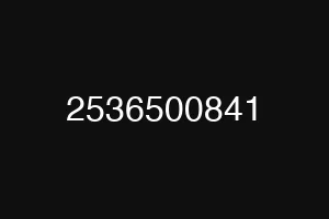 2536500841