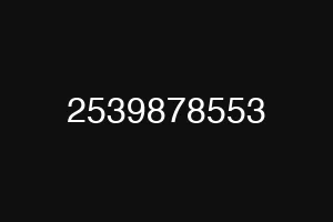 2539878553