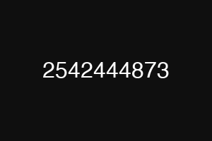 2542444873