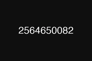 2564650082