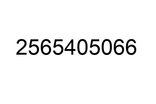 2565405066