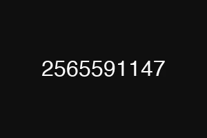 2565591147