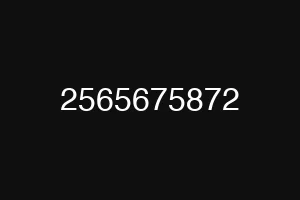 2565675872