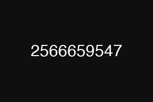 2566659547
