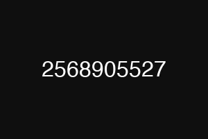 2568905527