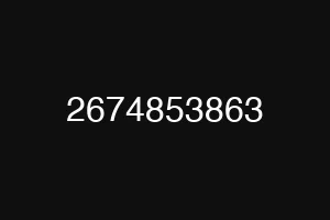 2674853863