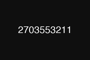 2703553211