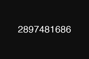 2897481686