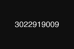 3022919009