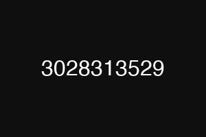 3028313529