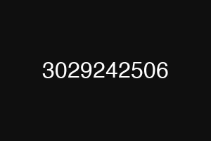 3029242506