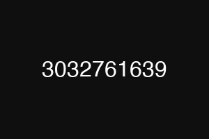3032761639