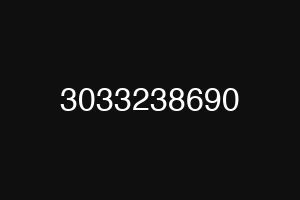 3033238690